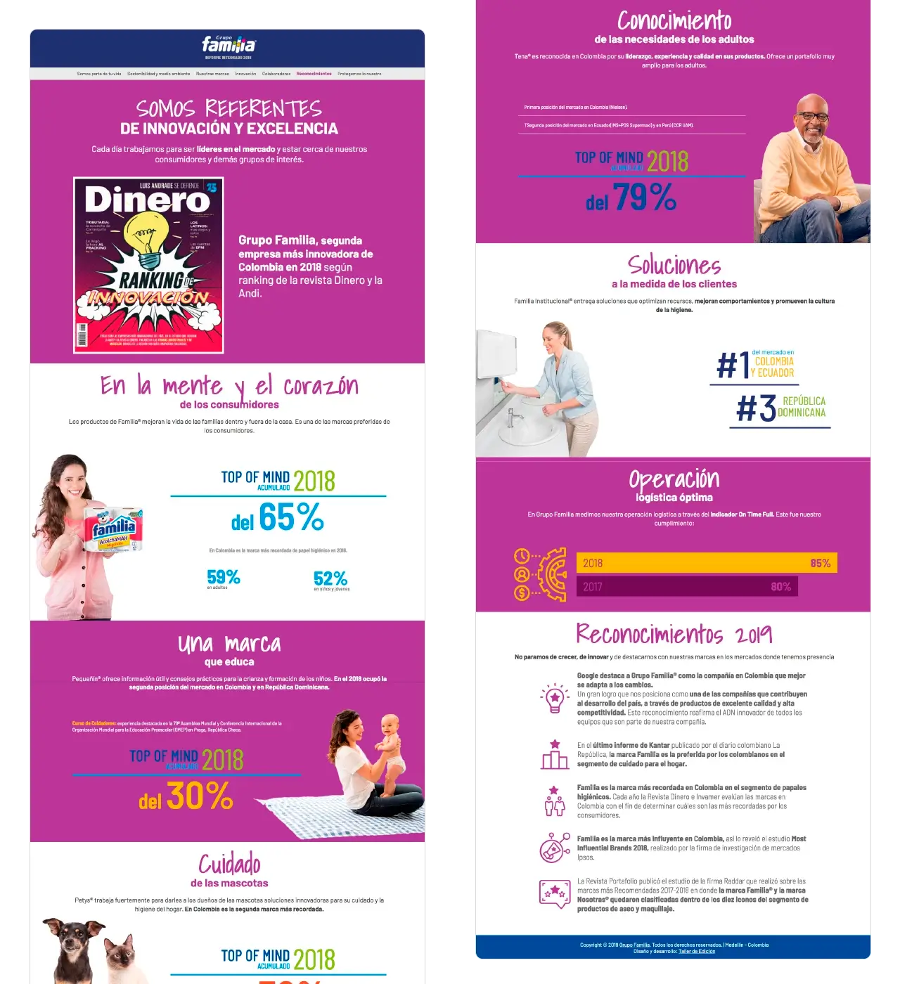 Familia Reporte Integrado 2018: página de Reconocimientos (Top of Mind, innovación y excelencia).