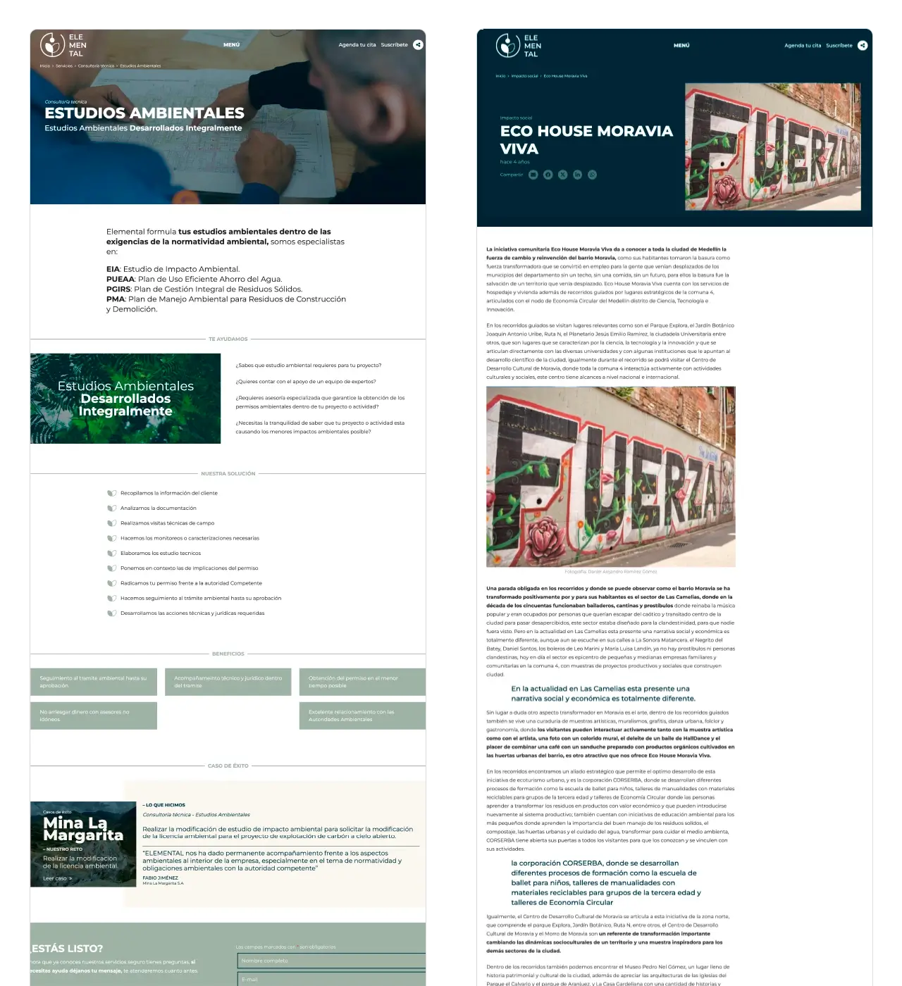 Elemental: Página de estudios ambientales (servicio) y artículo de blog (impacto social).