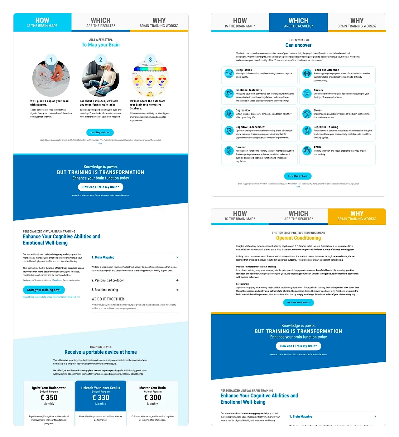 InsideT: uso de tabs para responder el Qué, Cómo y Por qué del Brain Mapping.
