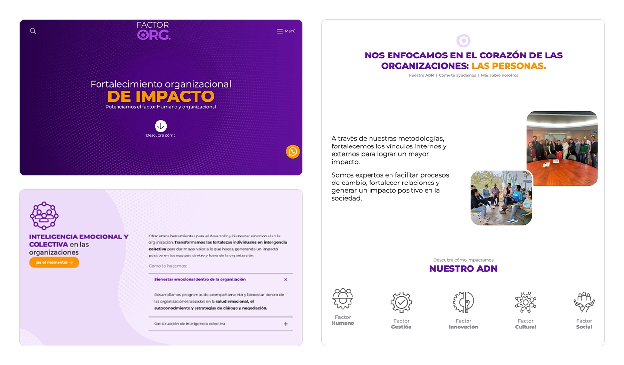 Sitio web Factor ORG: introducción en pantalla completa y sección de servicios.